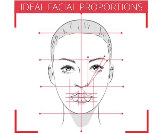 Facial shapes and ideal proportions
